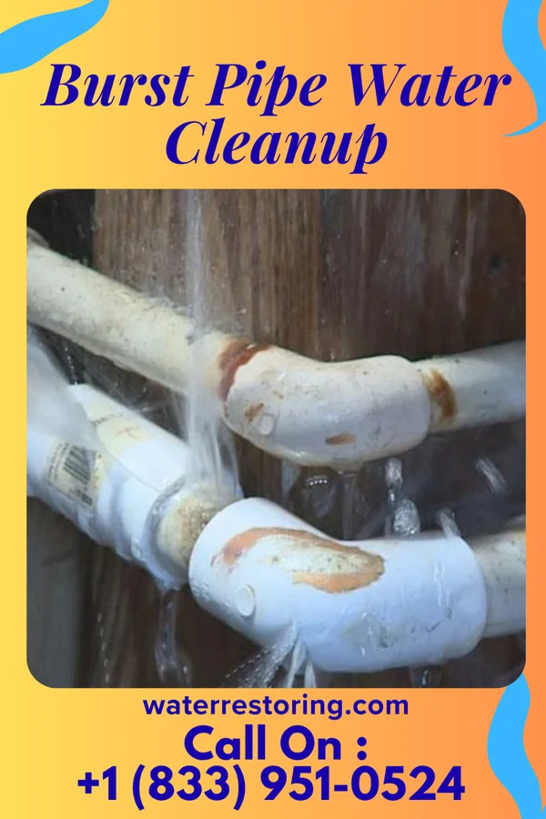 Burst Pipe Water Cleanup in Kirby, OH