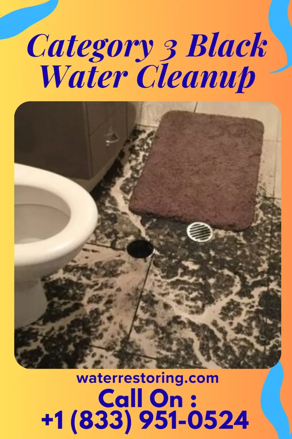 Category 3 Black Water Cleanup in Kirby, OH