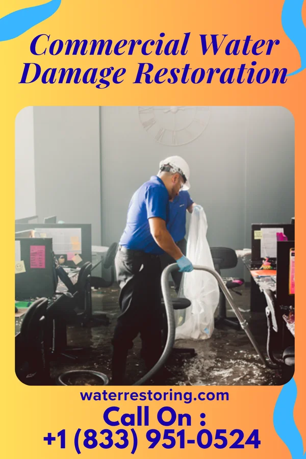 Commercial Water Damage Restoration in Kirby, OH