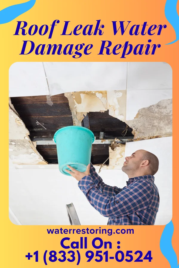 Roof Leak Water Damage Repair in Kirby, OH