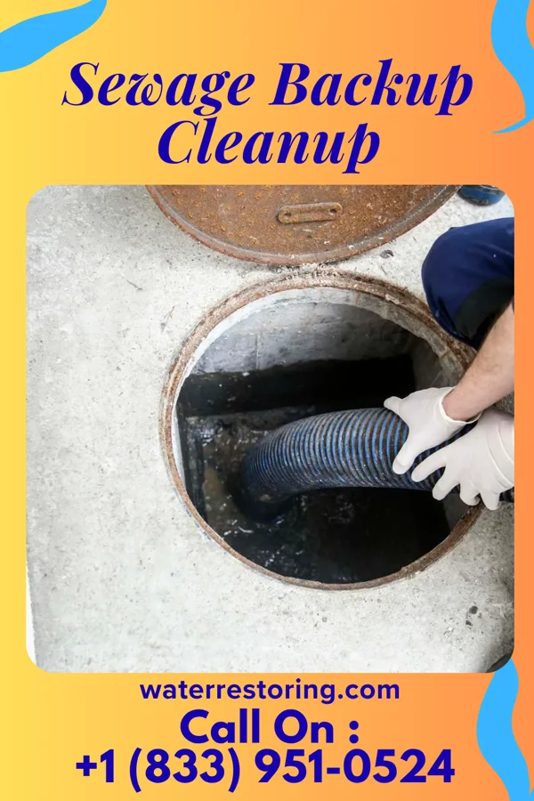 Sewage Backup Cleanup in Kirby, OH