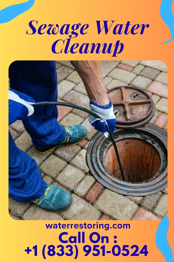 Sewage Water Cleanup in Kirby, OH